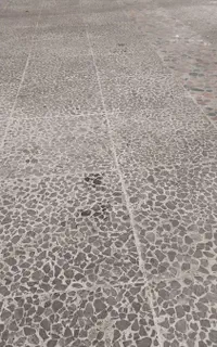 جرم گیری وکف سابی