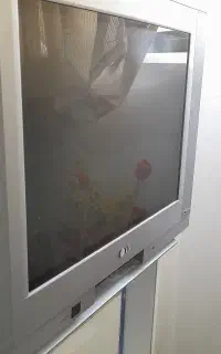 تلوزیون ۲۱ الجی