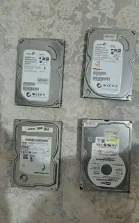 هارد سیگیت درحد