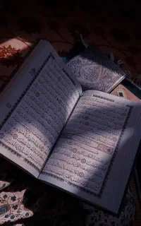 فال و بقیه چیز ها