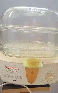 بخار پز مولینکس نو