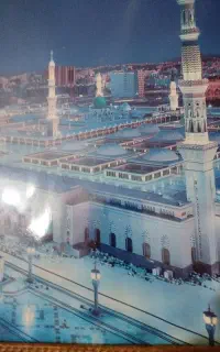 بازگشت معشوق صدرصدی