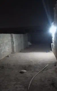 همخونه