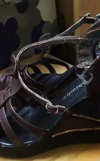 کفش خوش پا
