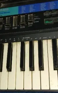 ارگ آموزشی CASIO فروشی