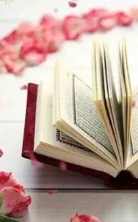 مجله بینش دعا آینده فال سرنوشت سرکتاب و دعا&