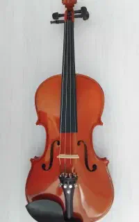 Valencia V-150 4/4 violin ویولن والنسیا
