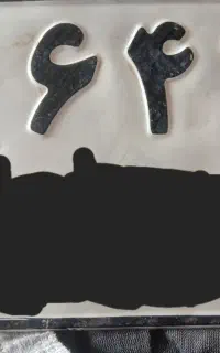 پلاک پیدا شده