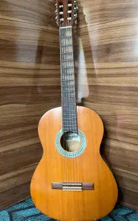 گیتاریاماهاc40