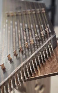 سنتور صالحی راد تک مهر