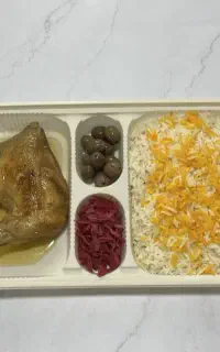 غذای ایرانی ارسال سریع