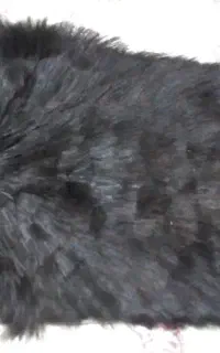 خیگ
