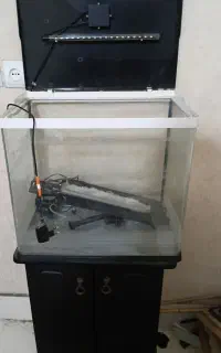 آکواریوم