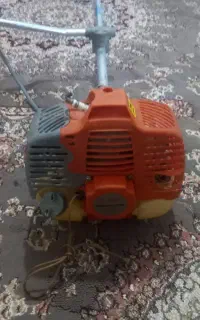 علف زن