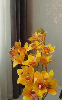 گل شب مصنوعی