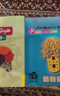 کتاب هوش مالتیپل و ریموت ششم