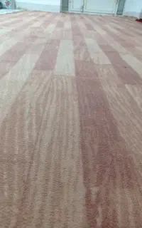 موکت