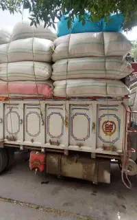 کاه تاز ه.ویونجه تحویلی به شرط