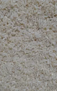 مناسب خانه دار خوش پخت و خوش عطر