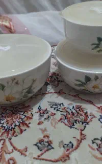 ظرف نگهداری  غذا  چینی