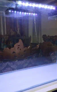 آکواریوم شیشه خم ۸۰سانتی با لوازم