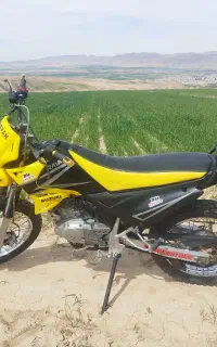 تریل روان مدل 88 زردمشکی