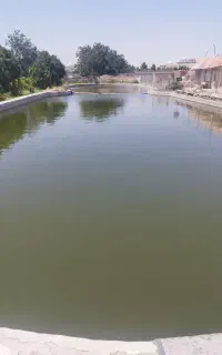 نیروی خانم بدون بچه