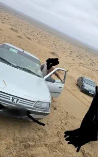 پژو معاوضه با اطلس