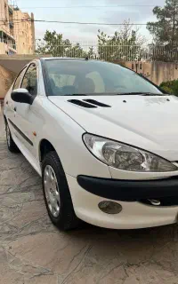 ۲۰۶ صندوقدار سفارشی استثنایی