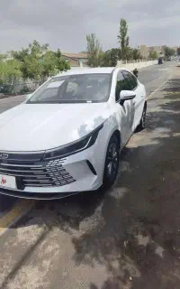 بی وای دی  پلاک ارس دائم