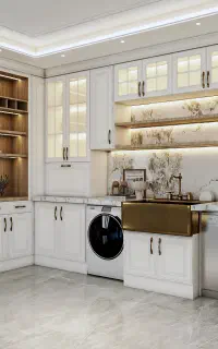استخدام طراح حرفه ای