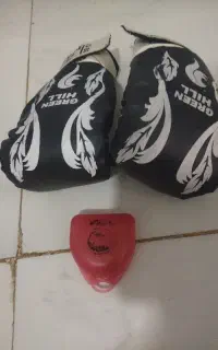 دست کش بوکس