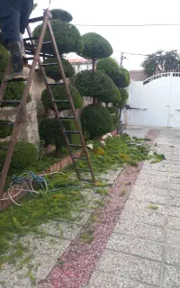 کلیه خدمات باغبانی