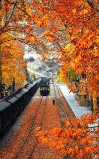 جابه‌جایی معلم تهران کوهدشت