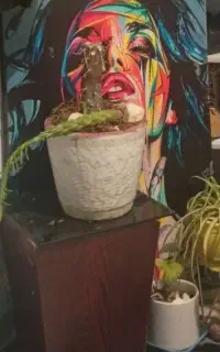 تابلوی نقاشی