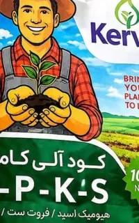 کود کامل NPKS برای گندم