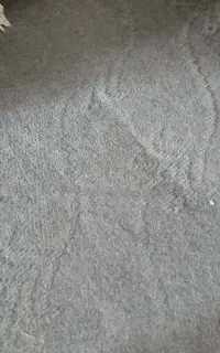 موکت و گلیم فرش