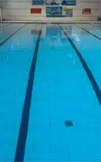 منشی خانم جهت کار در دفتر استخر فلاورجان