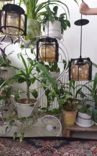 لوستر تک شاخه سه تا باهم