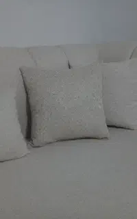 مبل شویی