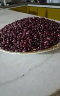 لوبیا قرمز