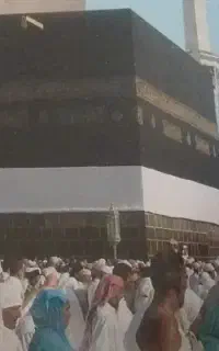 ۱عددفیش تمتع