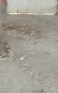 نضافت ساختمان