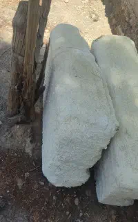 جوجه مرغ عشق