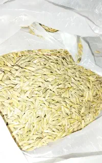 جو محلی شونه