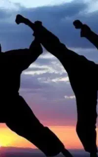 به چند رزمی کار نیازمندیم