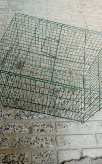 قفس تمیز