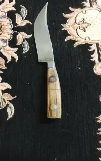 دسته شاخ