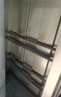 فر جوجه گردون