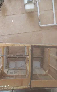 لونه کفتری یا مرغی